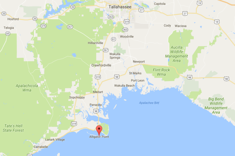 Alligator Point Map Craig Haynie - Alligator Point Map 768x509